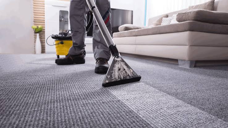Busy Household Floor Care: Managing Heavy Foot Traffic: Top Carpet Cleaning Service in Troy, MI
